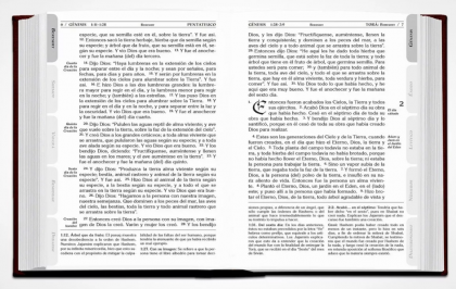 Tanaj - biblia en español comentada 1 tomo (sin texto hebreo) (jdm)