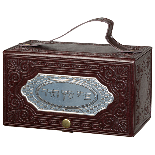 Caja de etrog de cuero con placa 19x11