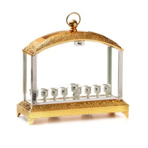 Janukia silver y golden aquarium jerusalem 34x36cm